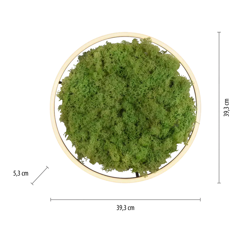 5in1 Solarleuchte Green Ritus