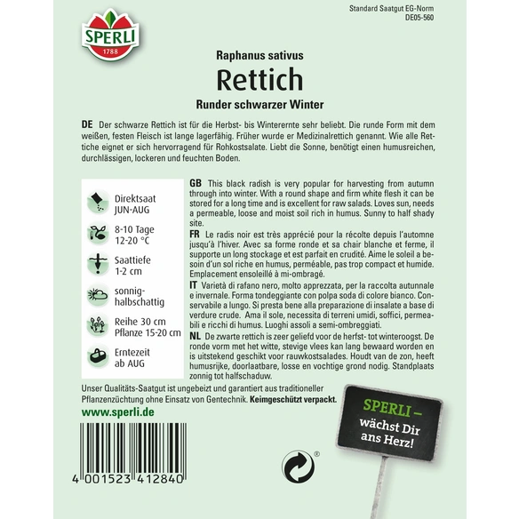 Rettich »Runder schwarzer Winter«, Lager-Rettich mit festem, weißem Fleisch