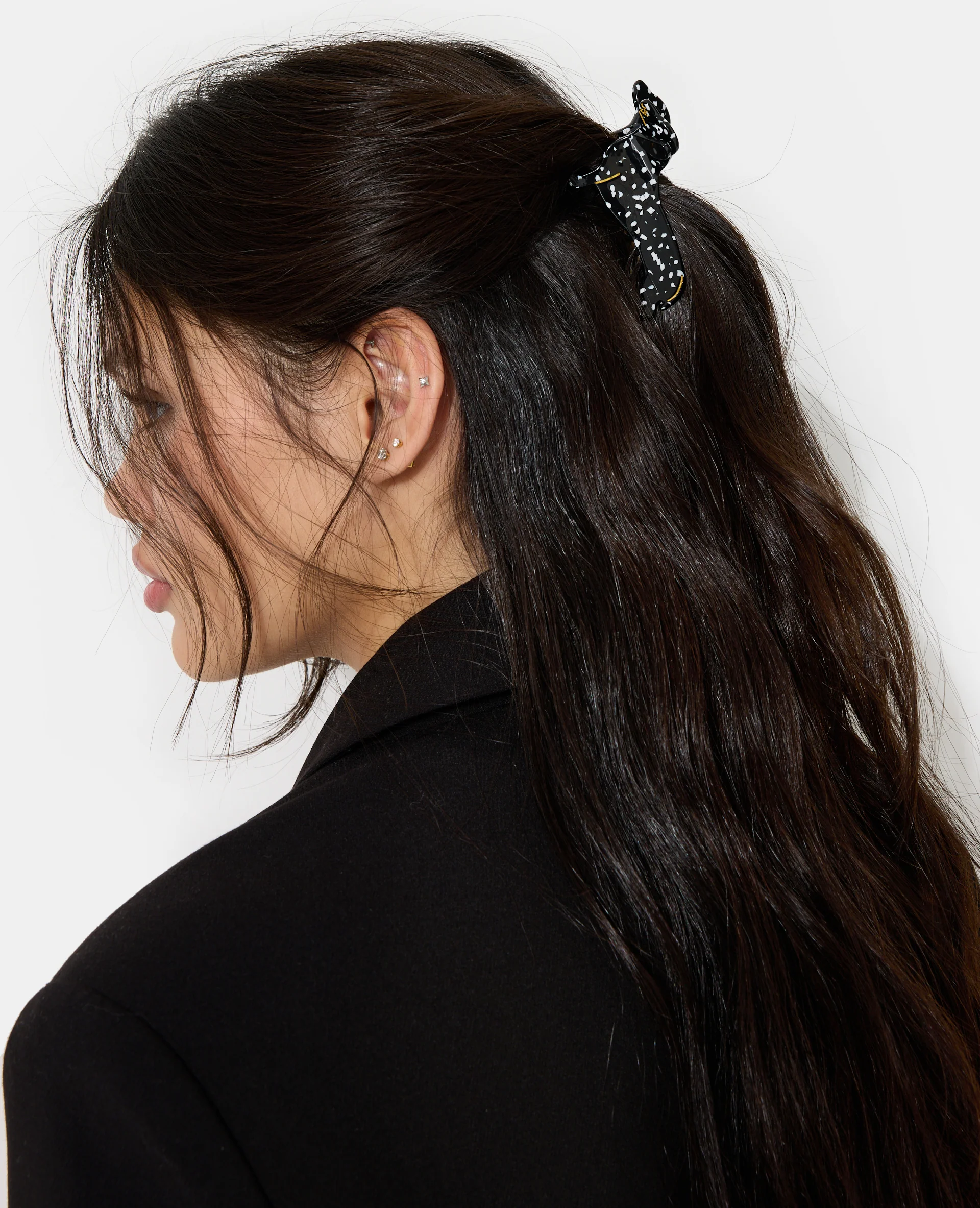 Pince crocodile chien teckel