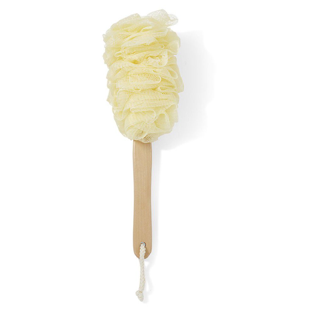 Fleur de douche forme brosse pour le dos