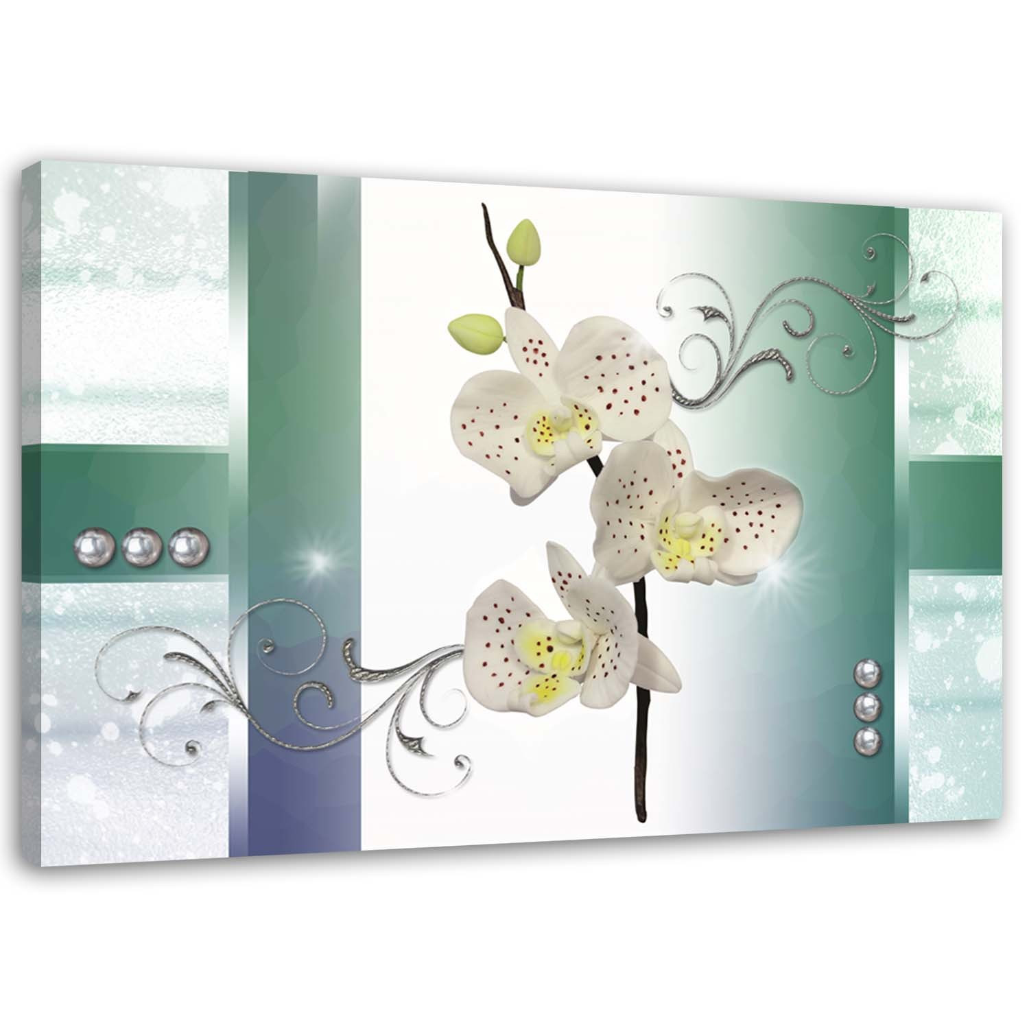 Feeby Obraz na płótnie Biała orchidea kwiat natura 60x40