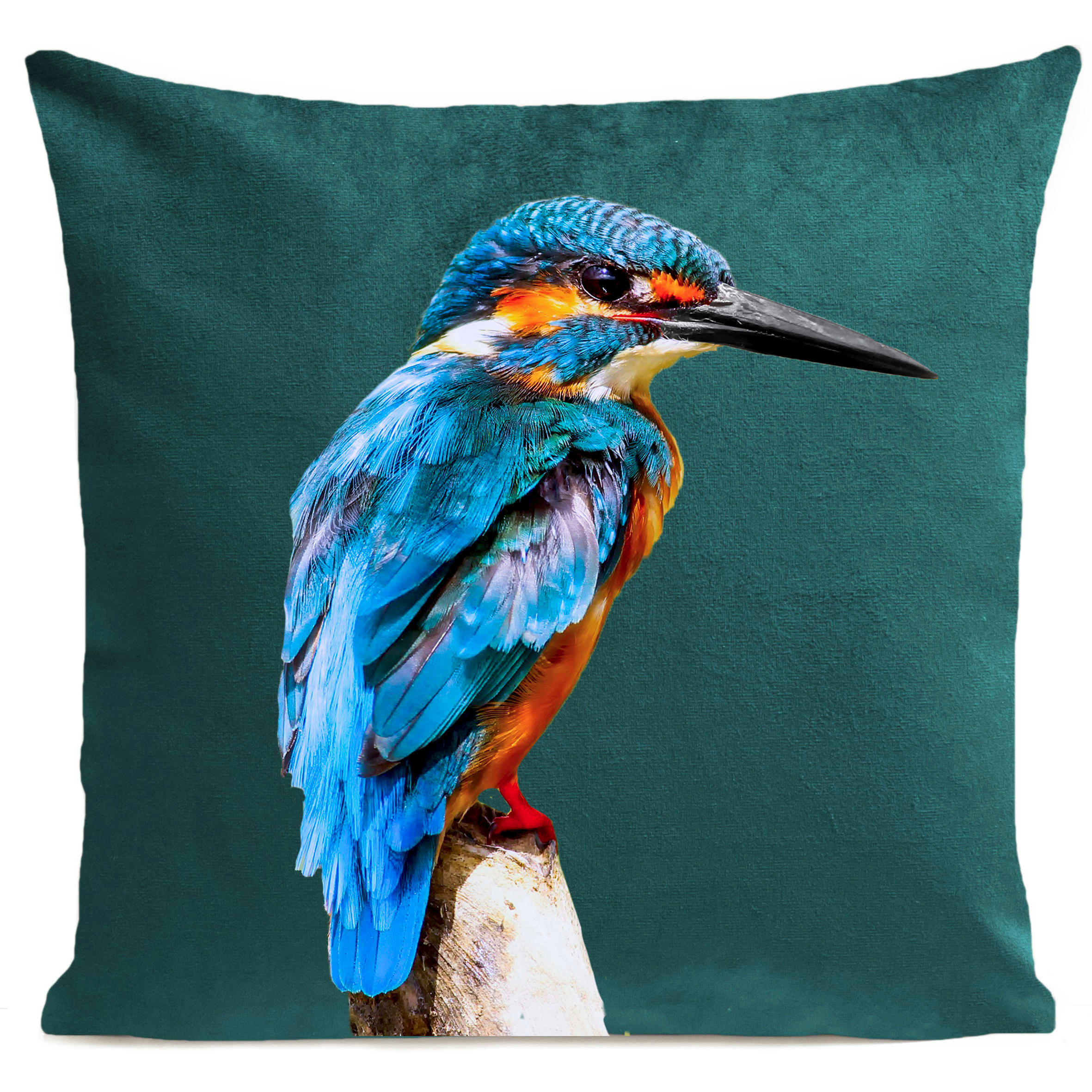 - Coussin oiseau bord de mer suédine vert 40x40cm