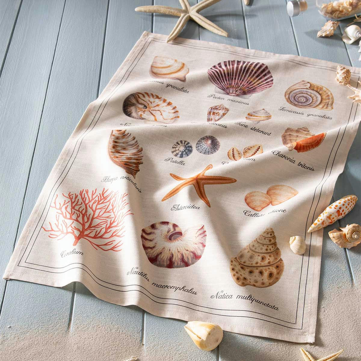 TRESORS DE LA MER - Torchon en métis multicolore 50x75