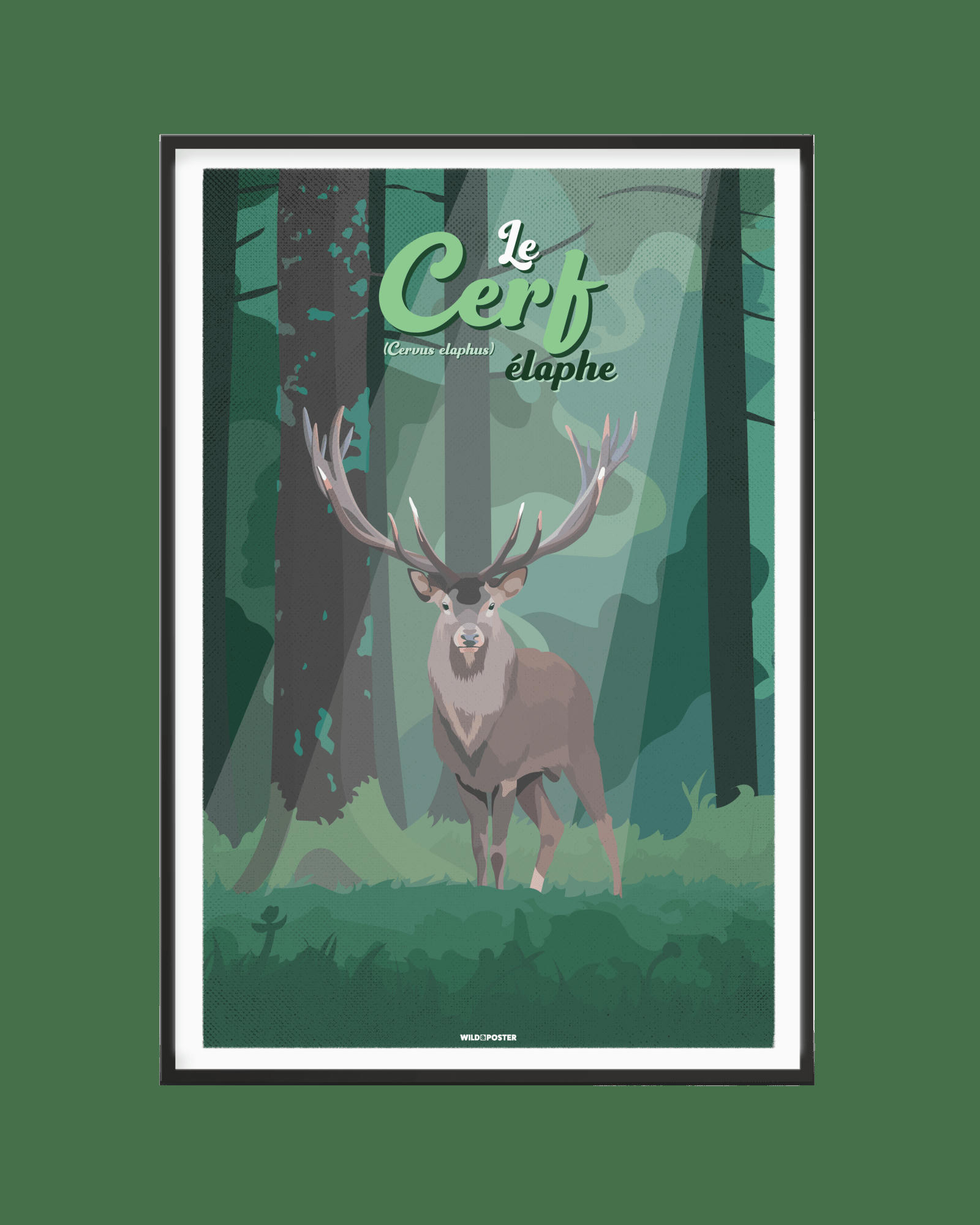 ANIMAUX - Affiche Animaux - Le Cerf élaphe 30 x 40 cm