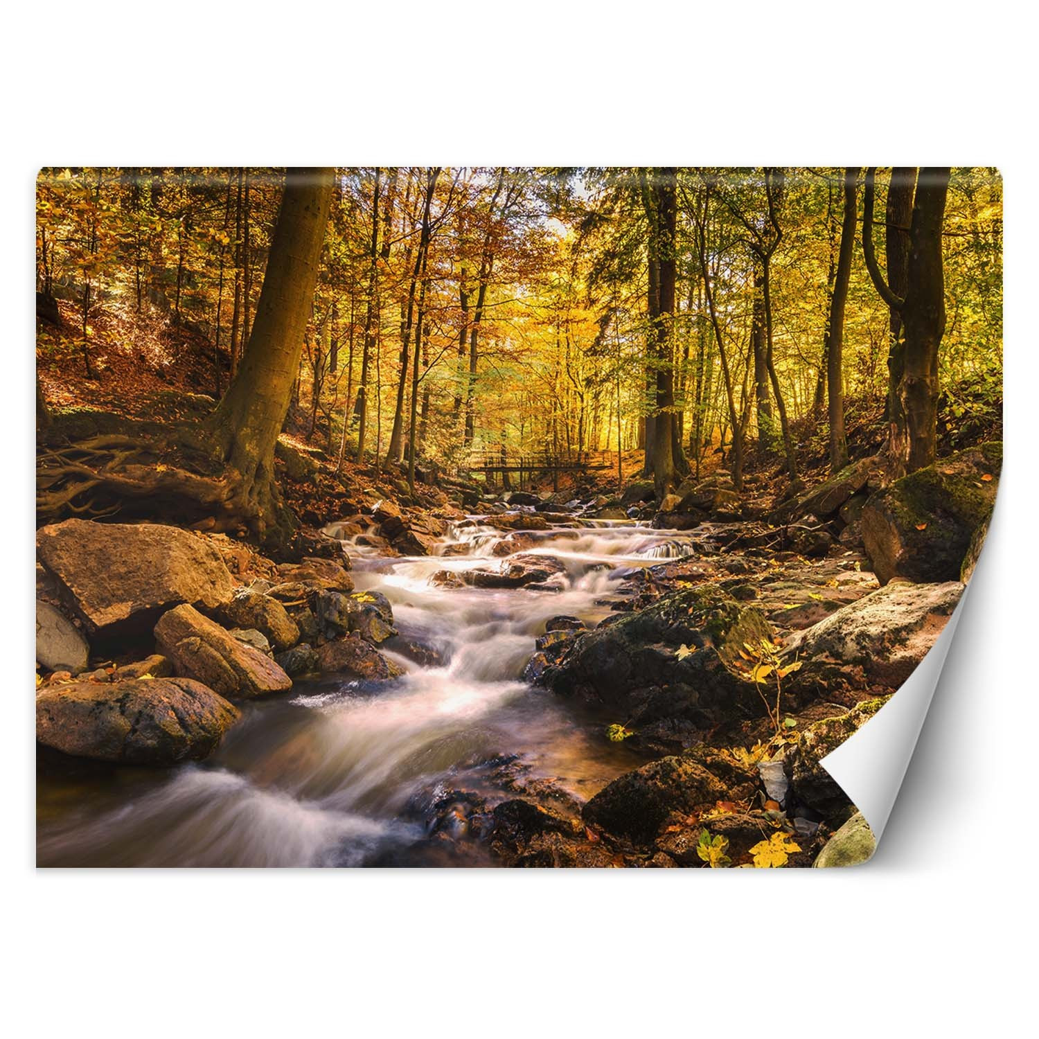 Feeby Fototapeta, Leśny potok jesienią 150x105