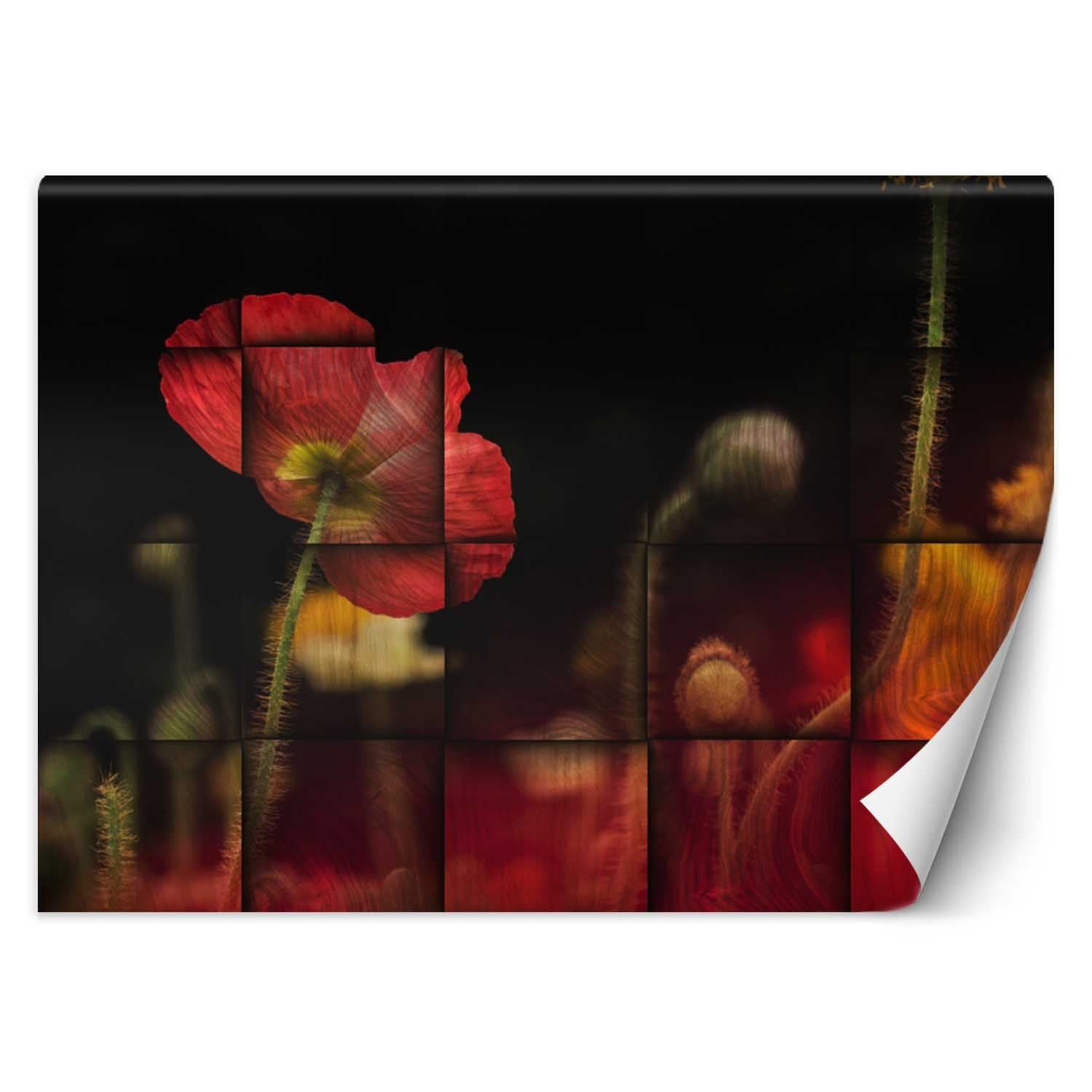 Feeby Fototapeta, Czerwone maki kwiaty 150x105