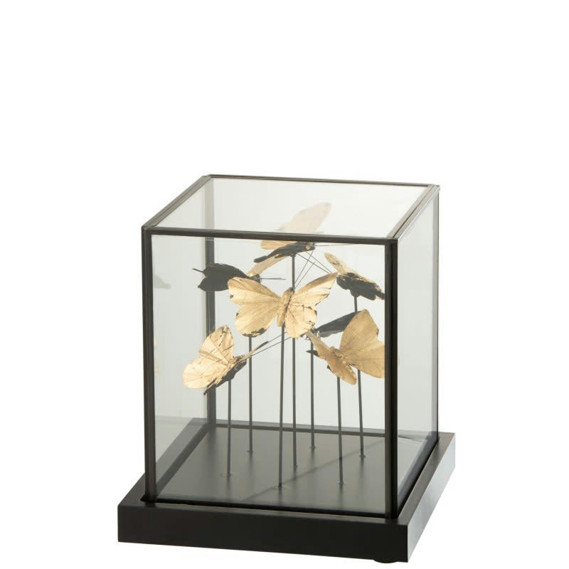 PAPILLONS - Cloche carrée papillons or verre/métal noir