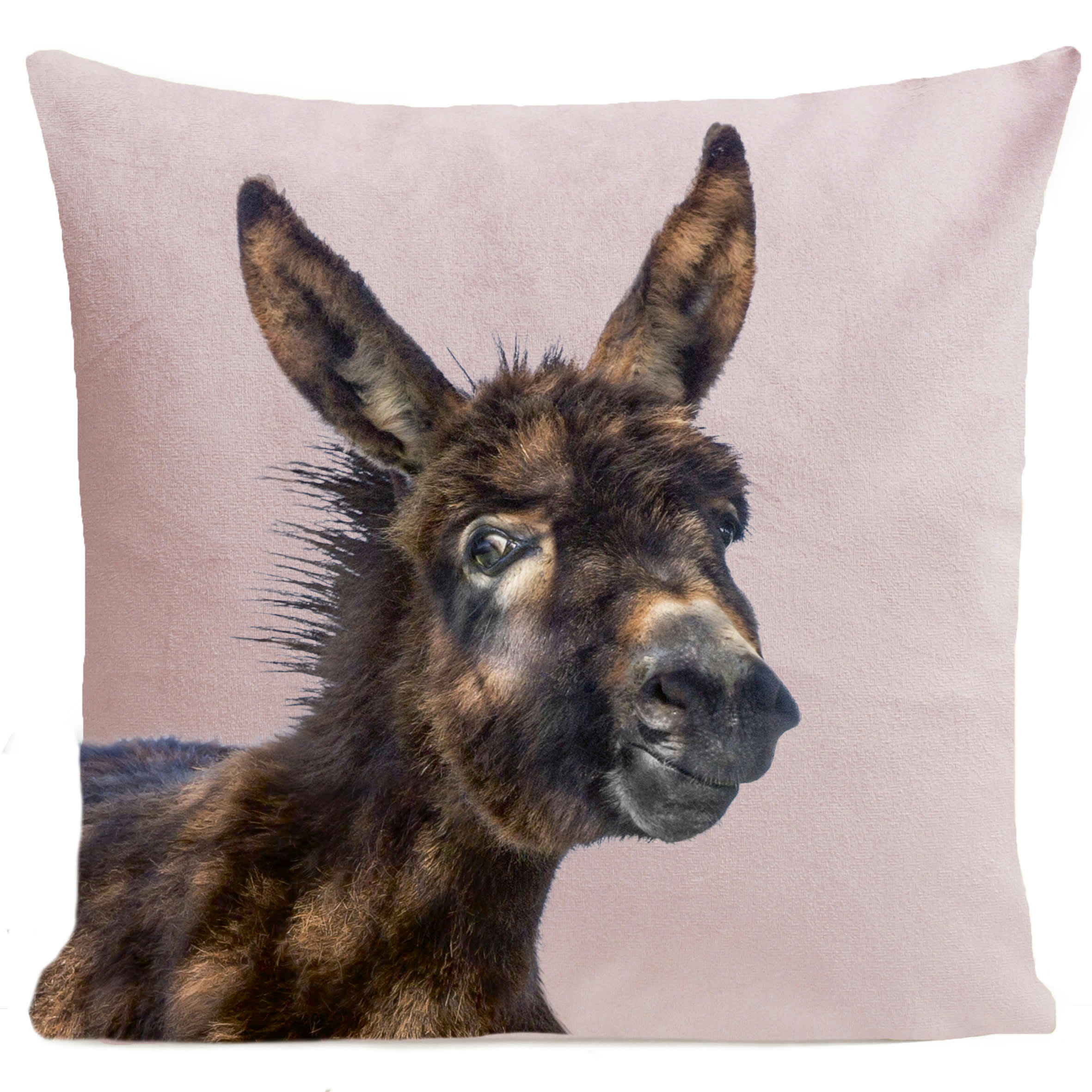 - Coussin animal âne suédine rose 40x40cm