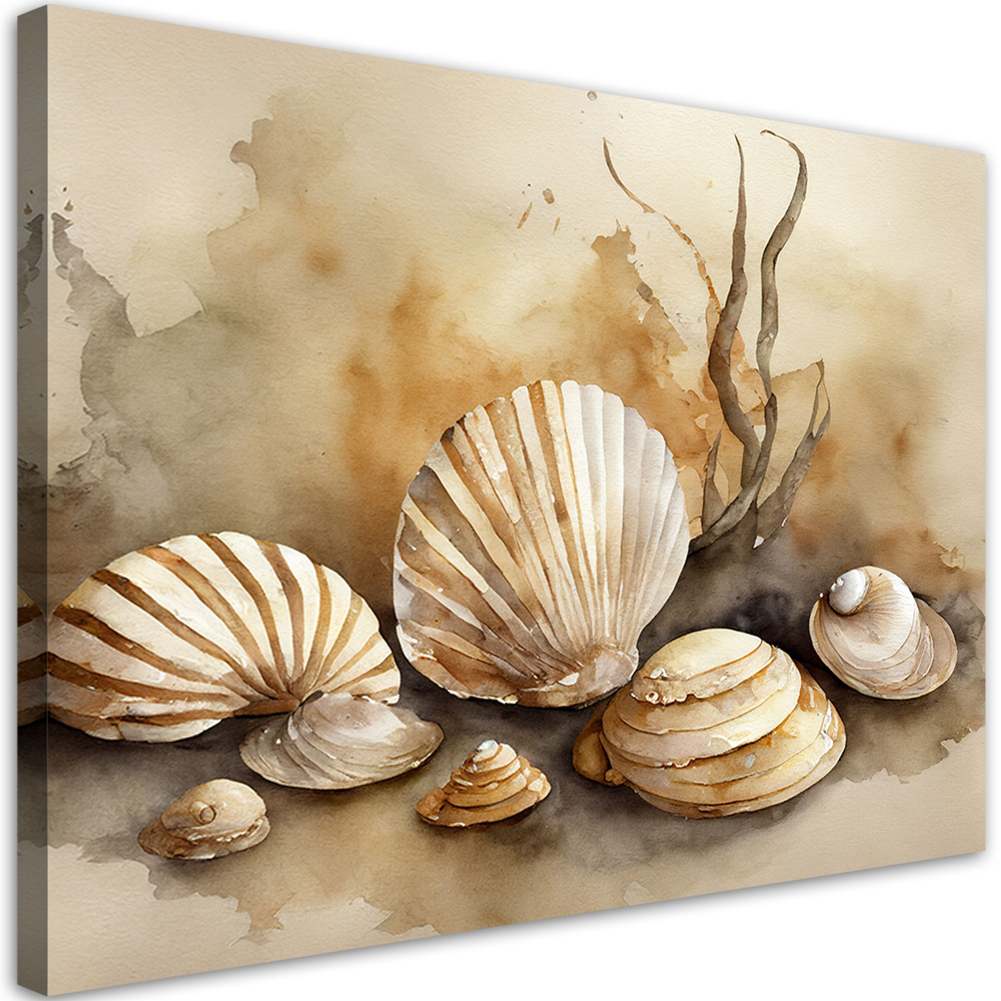 Feeby Obraz, marynistyczny muszle akryl 60x40