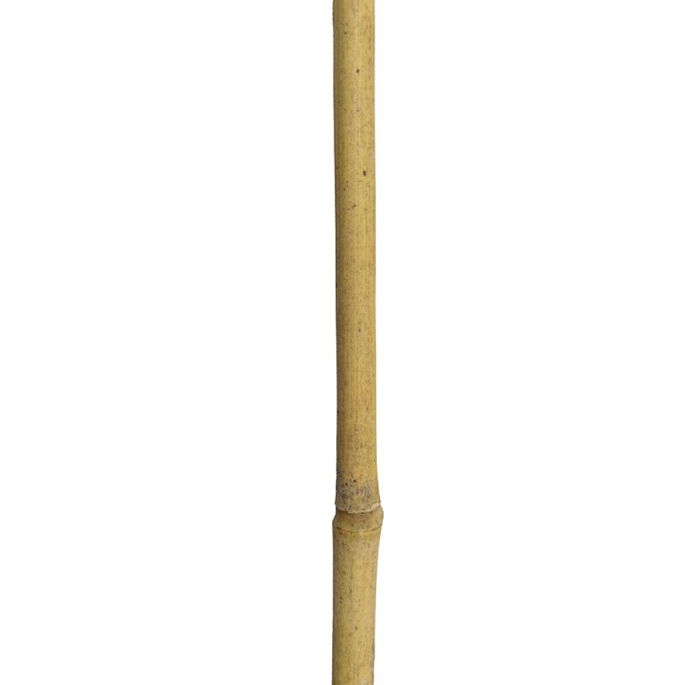 PLANTEPINNE BAMBUS 60 CM 5-PAKNING