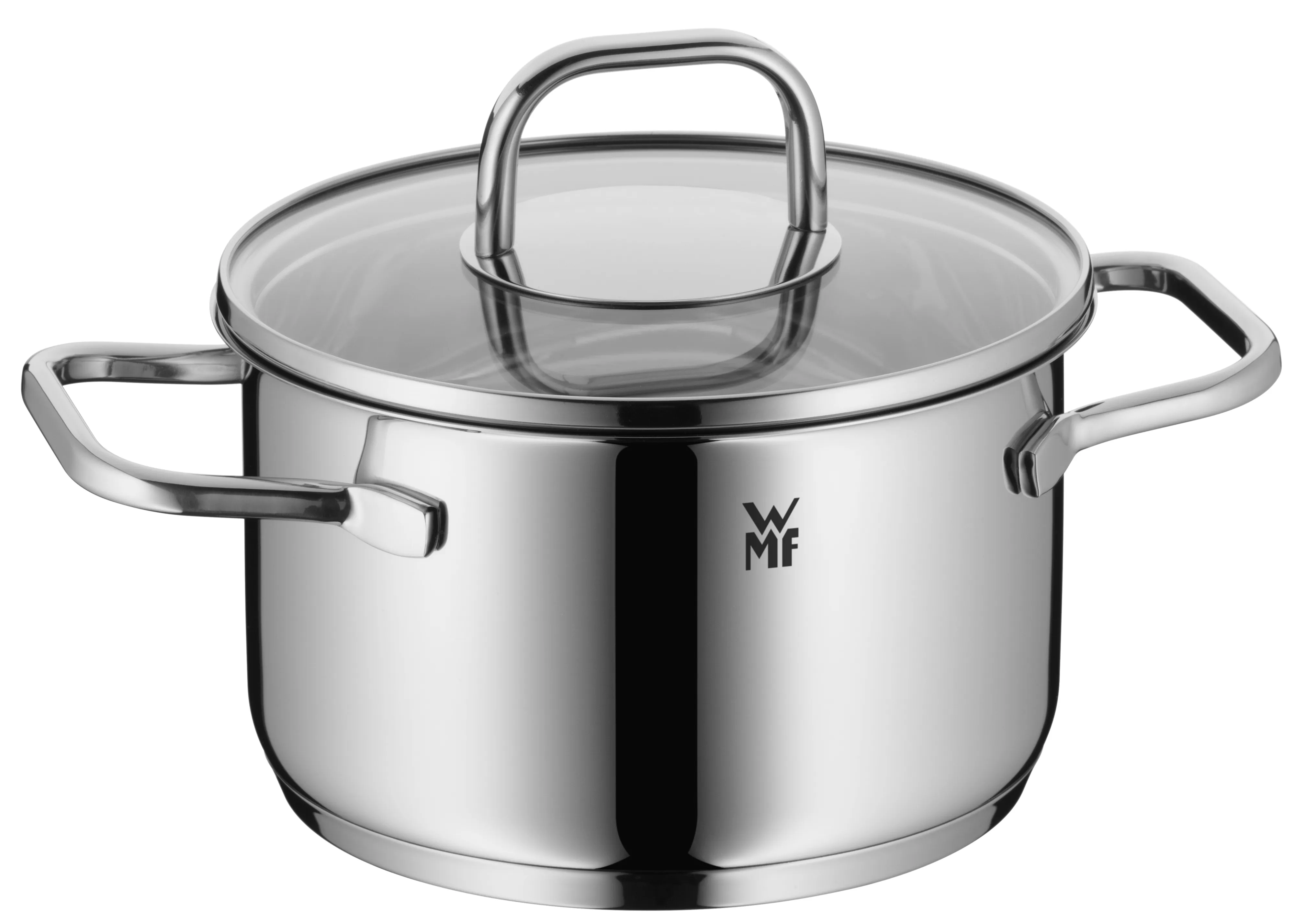 WMF Inspiration Soup Pot 16 cm with lid