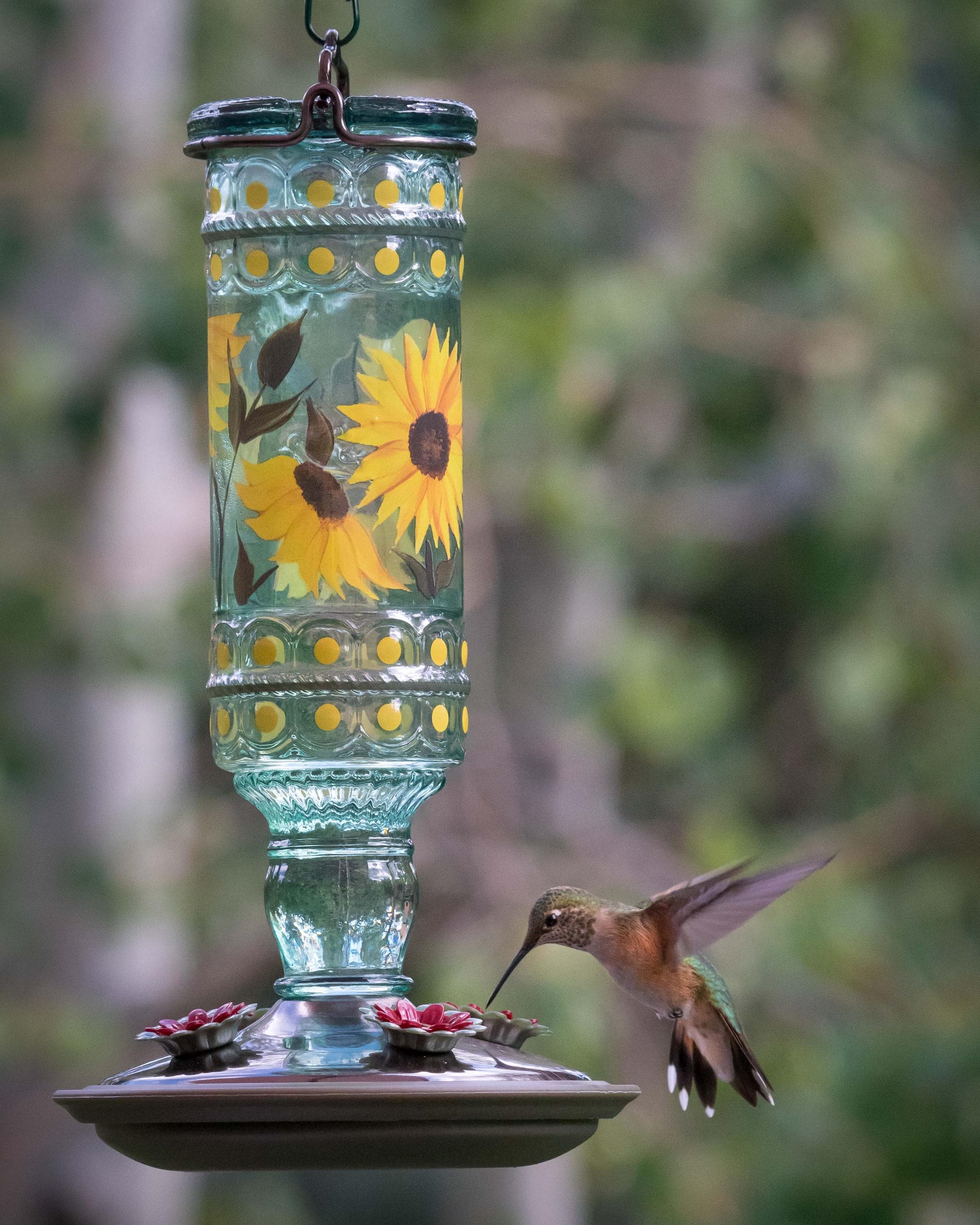 Vintage Style Glass Hummingbird Feeder | Garden Decor, Easy to clean, Copyrighted 2026