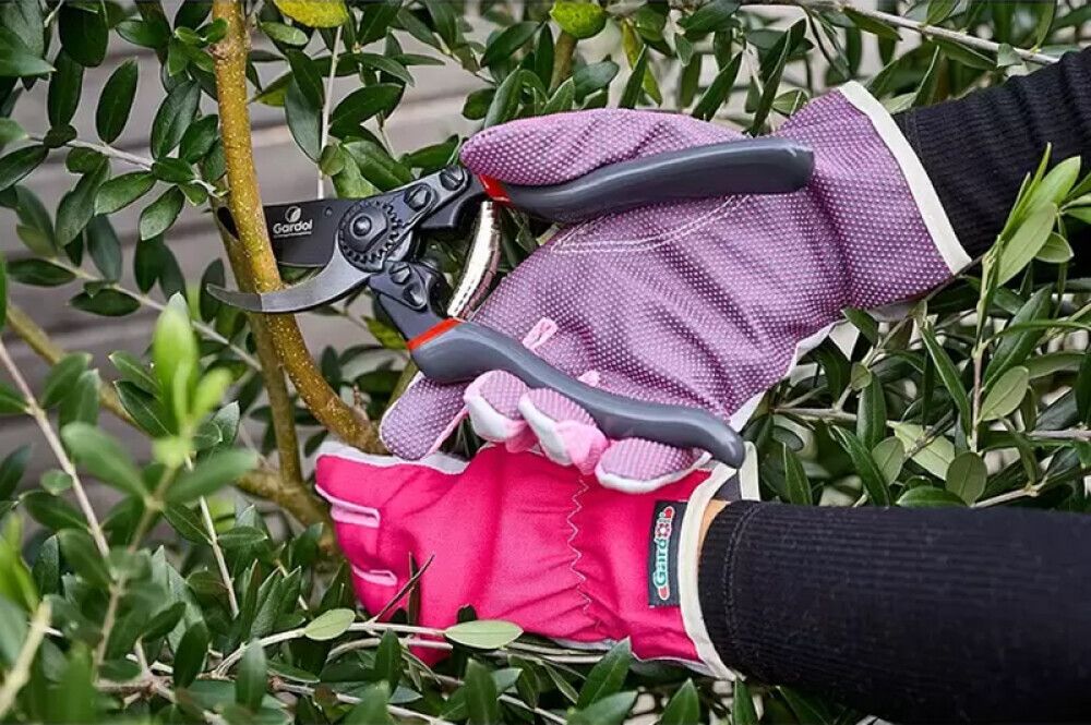 SEKATØR GARDOL GDB23 PREMIUM 21,5CM
