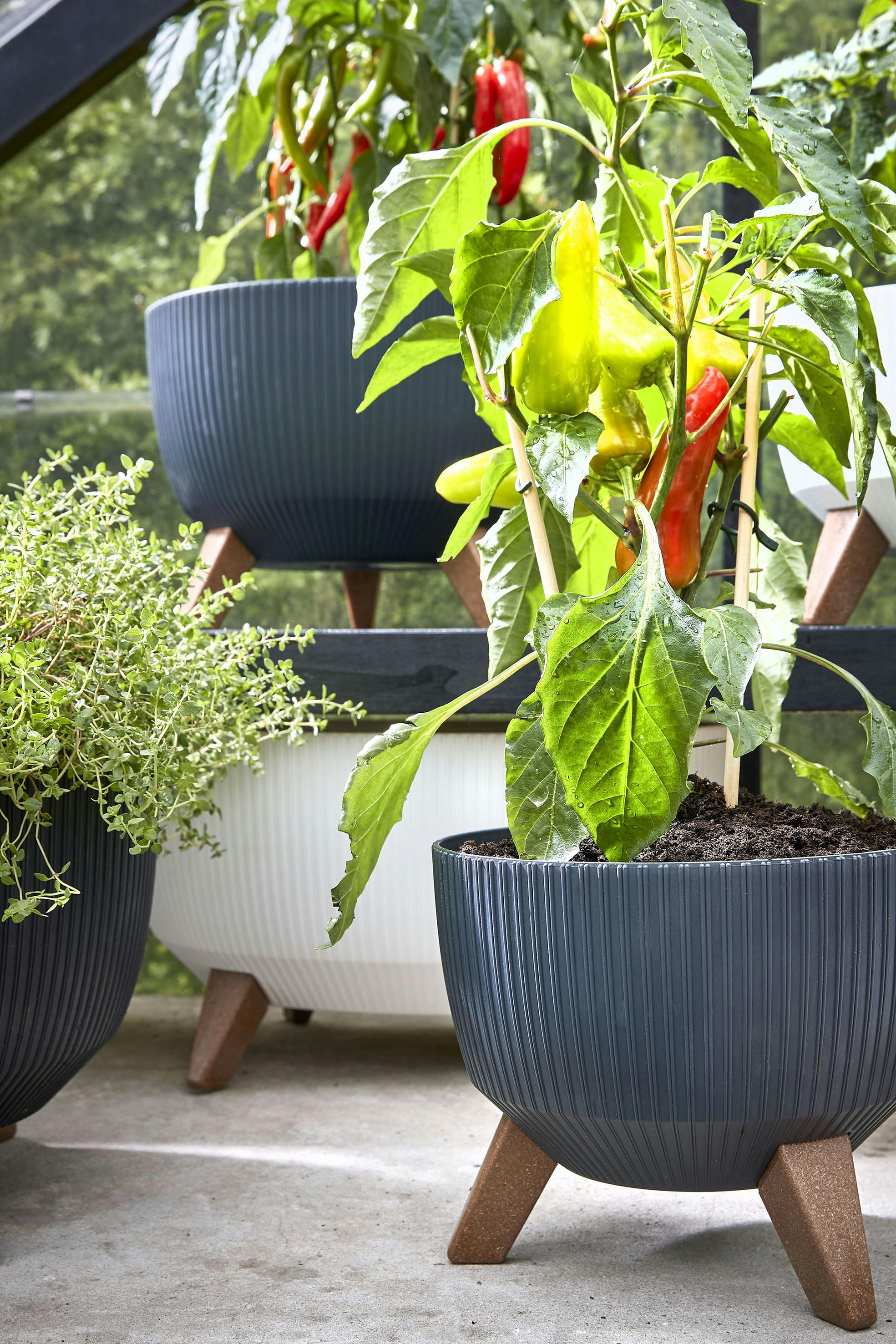 DOPPIO - Cache-pot avec pieds noir D40