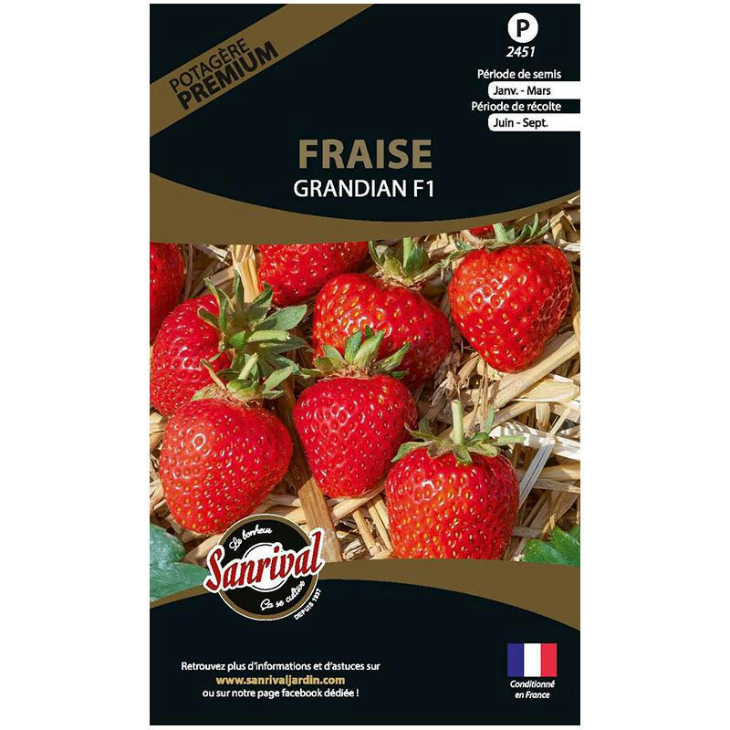 - Graines potagères premium fraise grandian