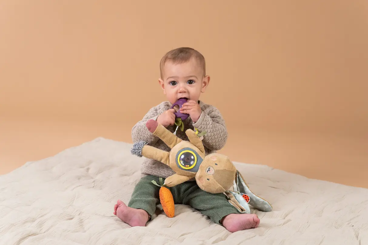 Spielzeug Taf Toys