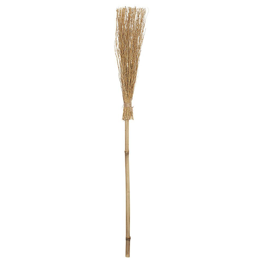 Balai de sorcière