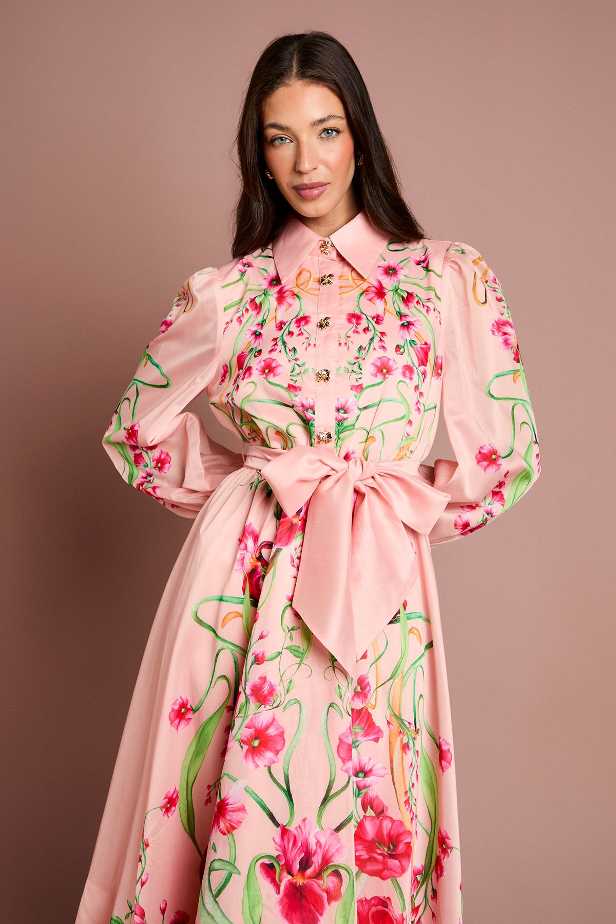 Coast Boarder Print Organza Shirt Dress