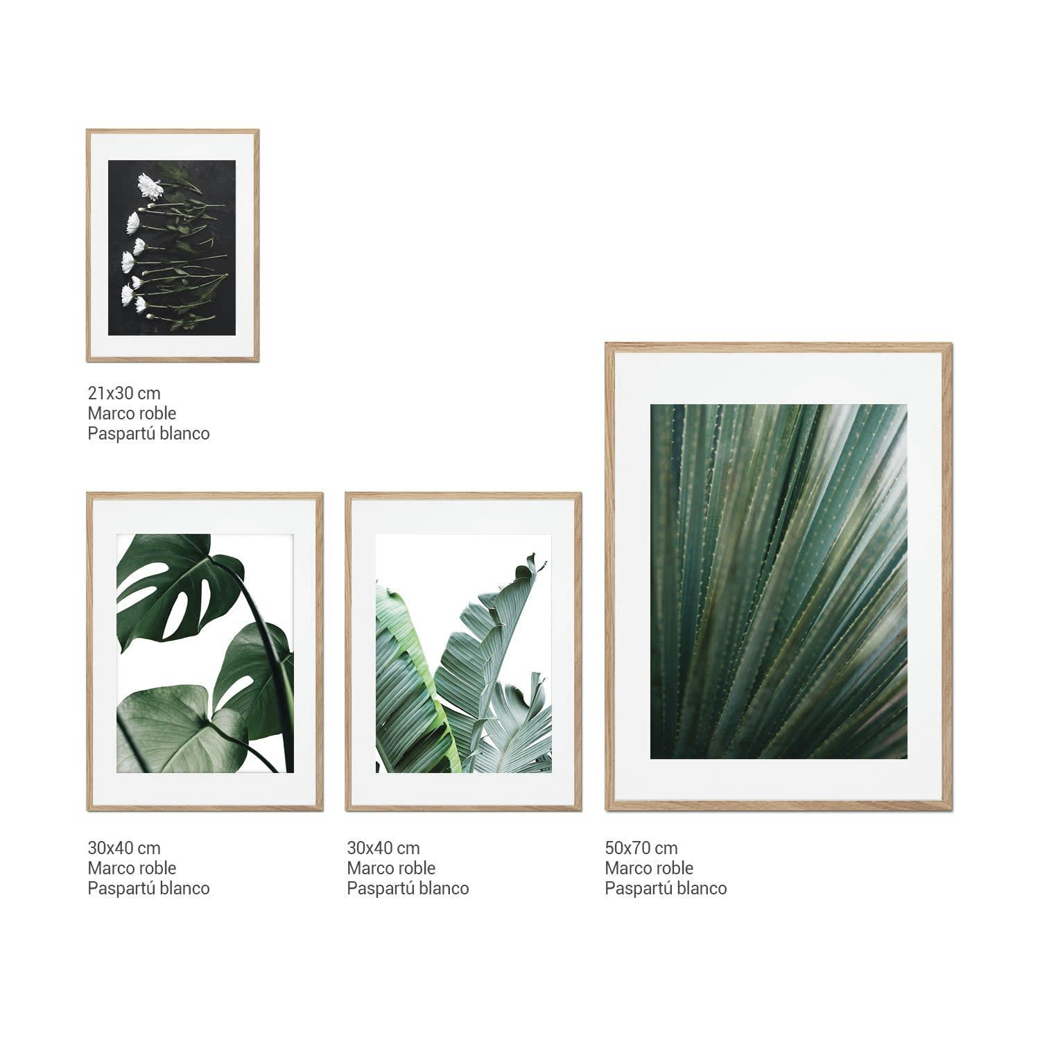 DÉCORATION MURALE - Décoration murale avec cadre en chêne - Botanique