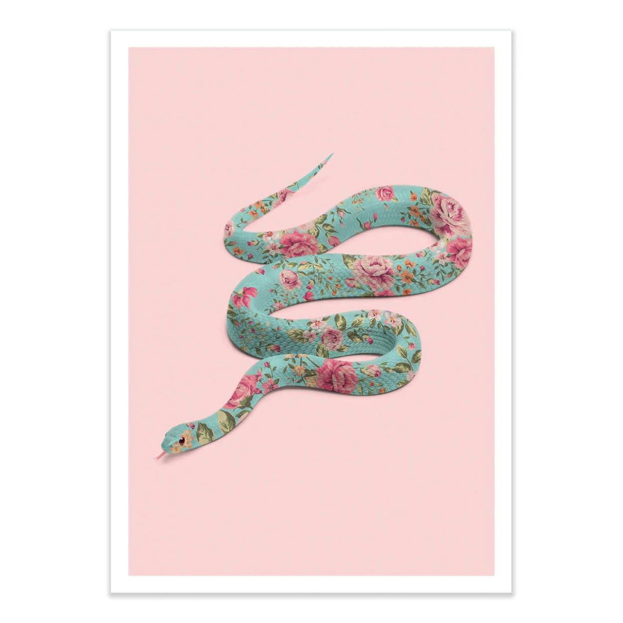 PAUL FUENTES - FLORAL SNAKE - Affiche d'art avec Cadre bois noir - 30 x 40 cm