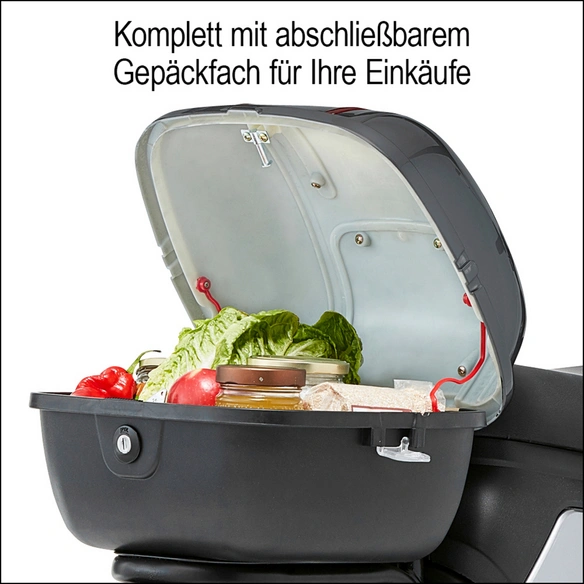 E-Roller »Messina«, max. 20 km/h, Reichweite: 85 km, weiß