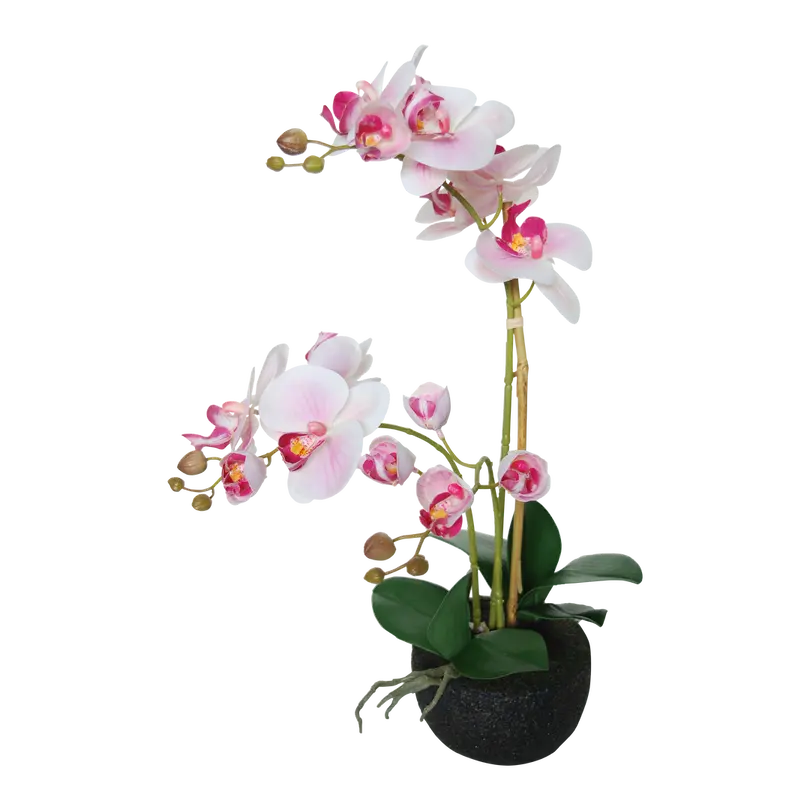 Kunstpflanze Phalaenopsis