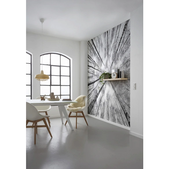 Vliestapete »Weiss-Blau«, Breite 450 cm, seidenmatt