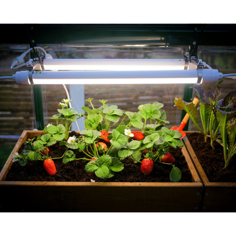 Lampe de culture Brighton LED pour serre CANOPIA