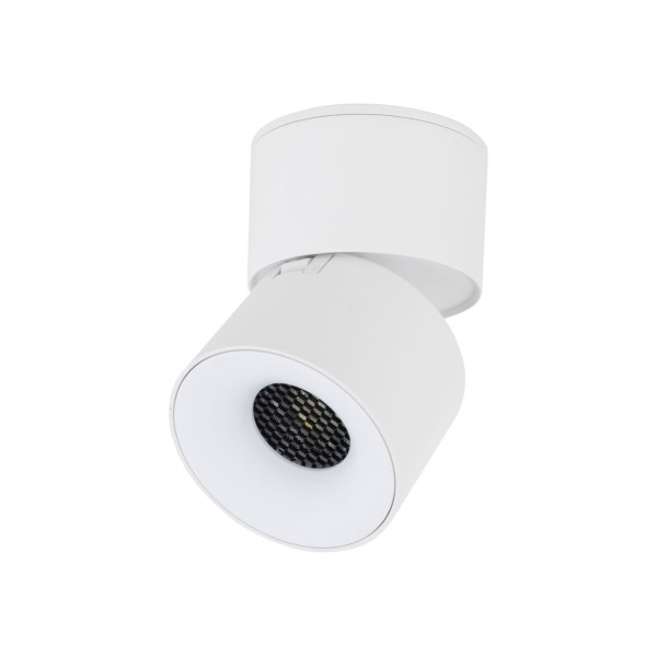 Lampa reflektor spot LED 10W SPARK WHITE CCT 18168 TK Lighting