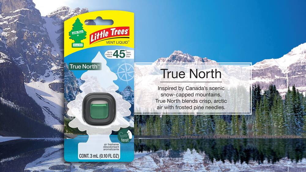 Little Trees True North Air Freshener