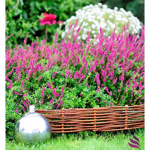 Bordure de plate-bande 10x (40cm hauteur) L:100cm