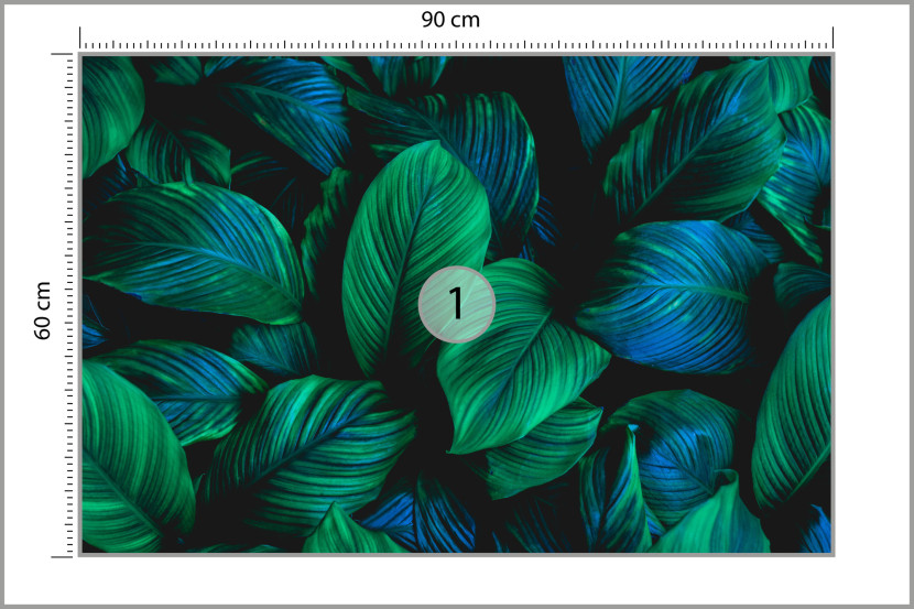 Fototapeta Piękne liście tropikalne 90x60cm
