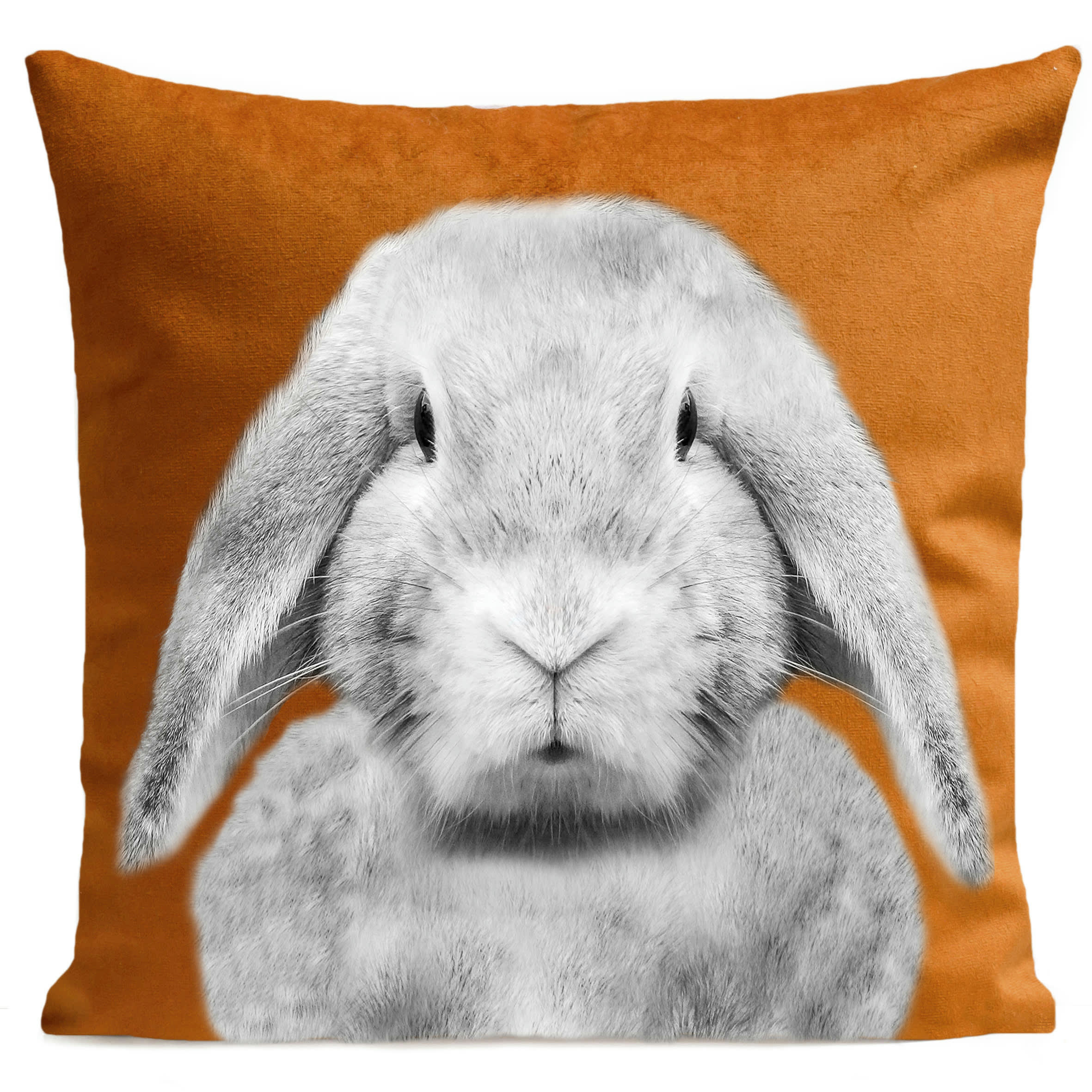 - Coussin enfant lapin orange suédine 40x40cm