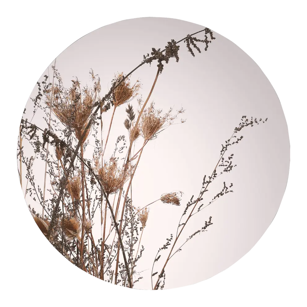 Kunstdruck Circle
