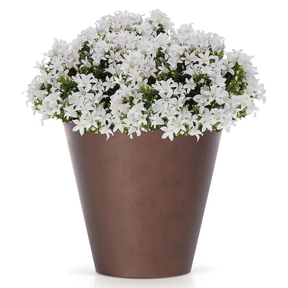 Prosperplast plantenpot - kunststof - brons - D20 x H19 cm