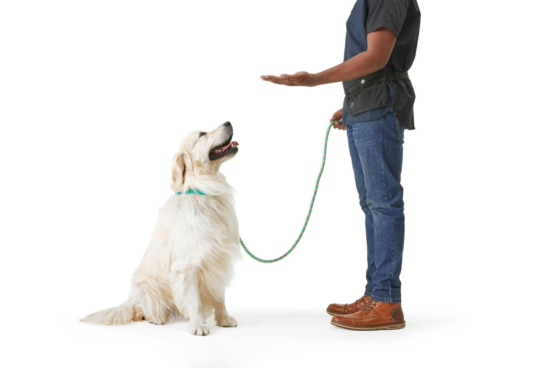 Petco Turquoise Buff Dog Rope Leash, 6-ft