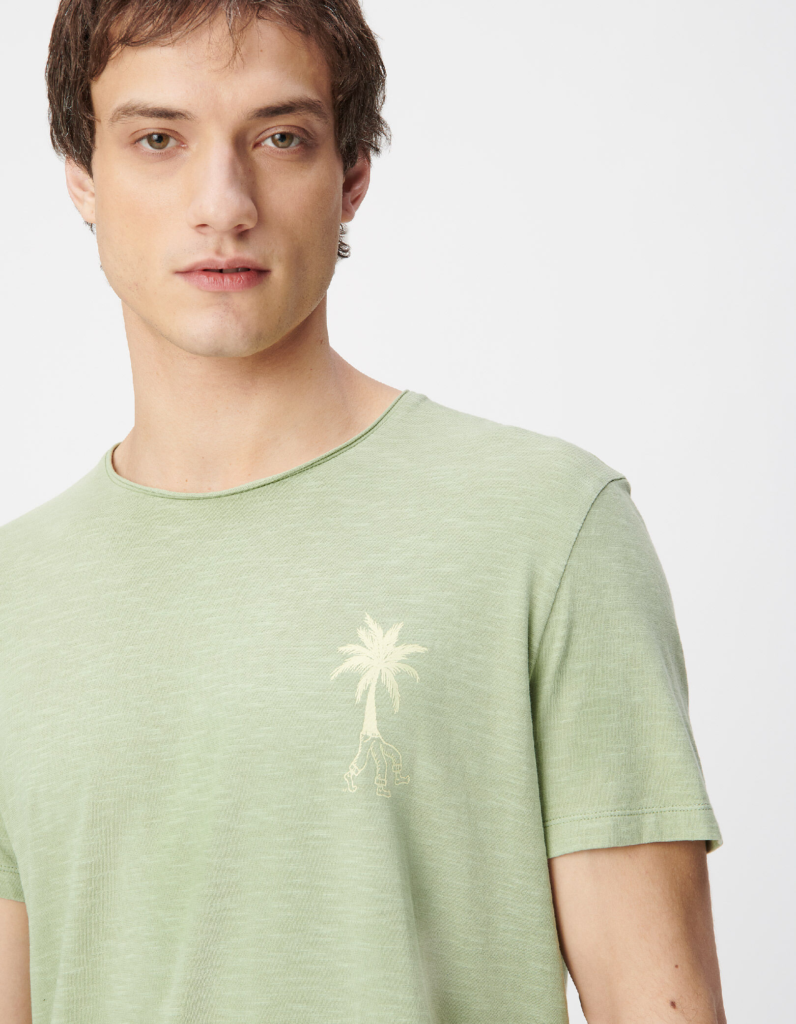 T-shirt col rond vert coton bio visuel palmier Homme