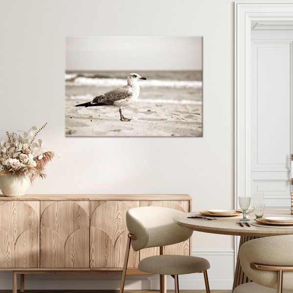 Obraz do salonu kuchni biura, Mewa ptak morze plaża natura 30x20