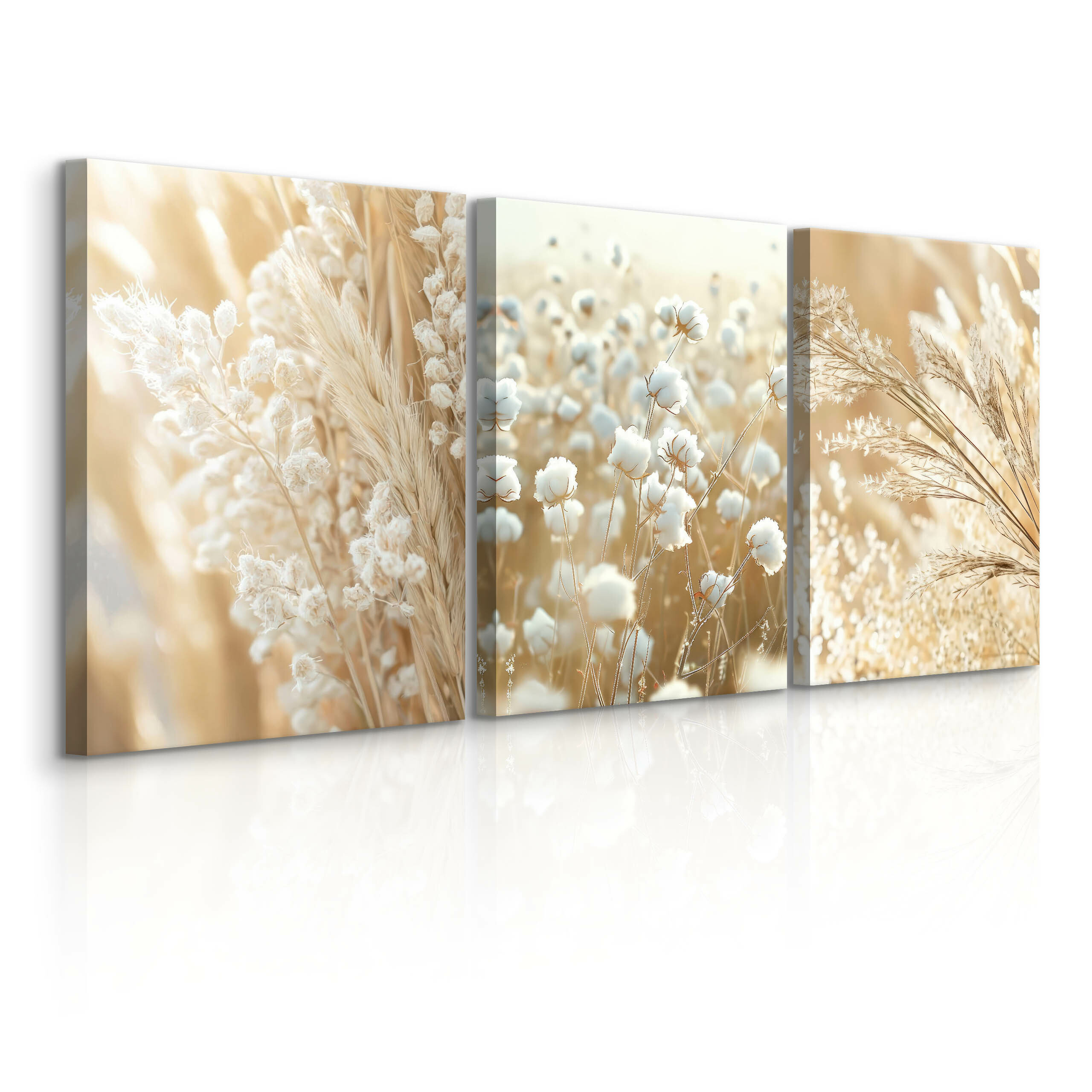 3x Obraz Set Trawa Pampasowa Bawełna Boho Natura 30x40cm