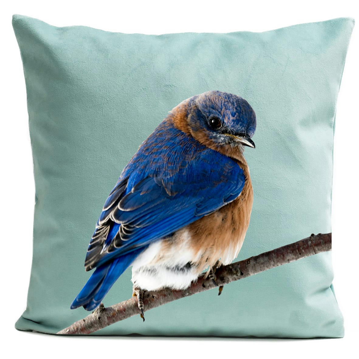 - Coussin campagne oiseau suédine bleu 40x40cm