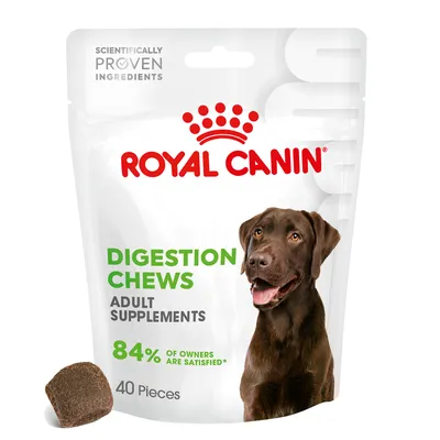 Royal Canin Digestion Adult Supplement Chews