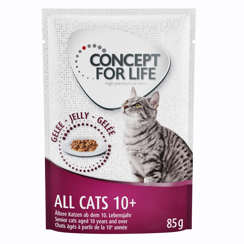 Concept for Life All Cats 10+ - in Jelly