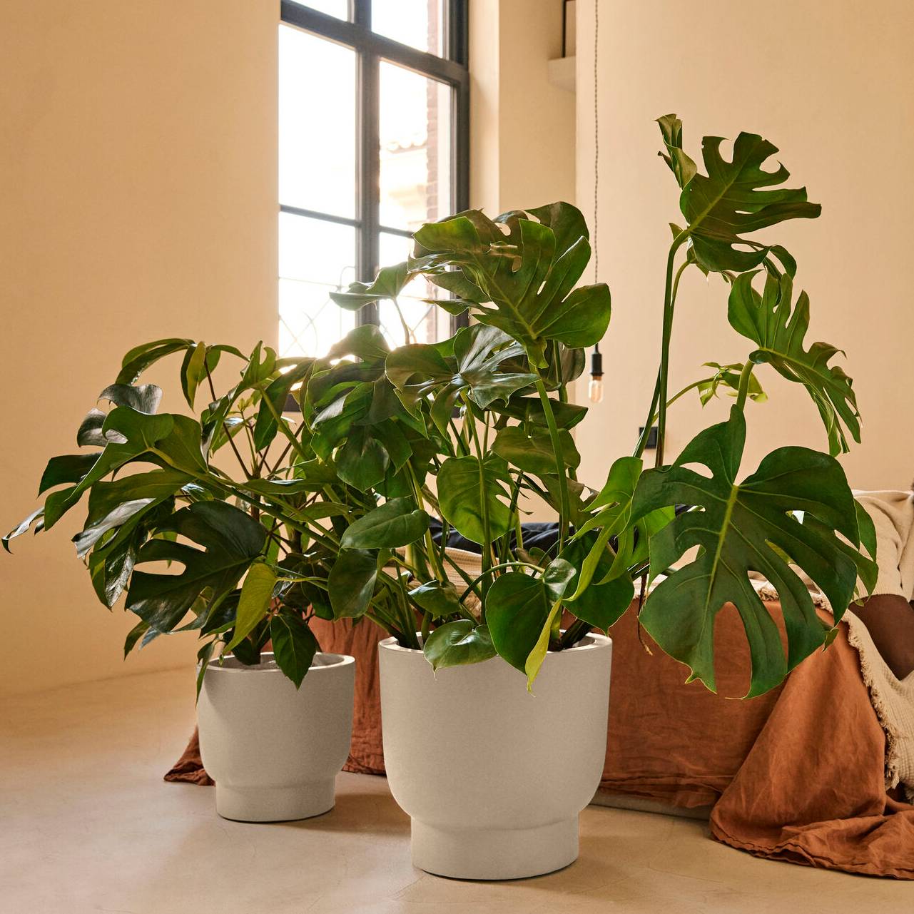 Elho Amber Grail 30 - Linnen wit - L 30 x B x H 28 cm - Binnen en Buit