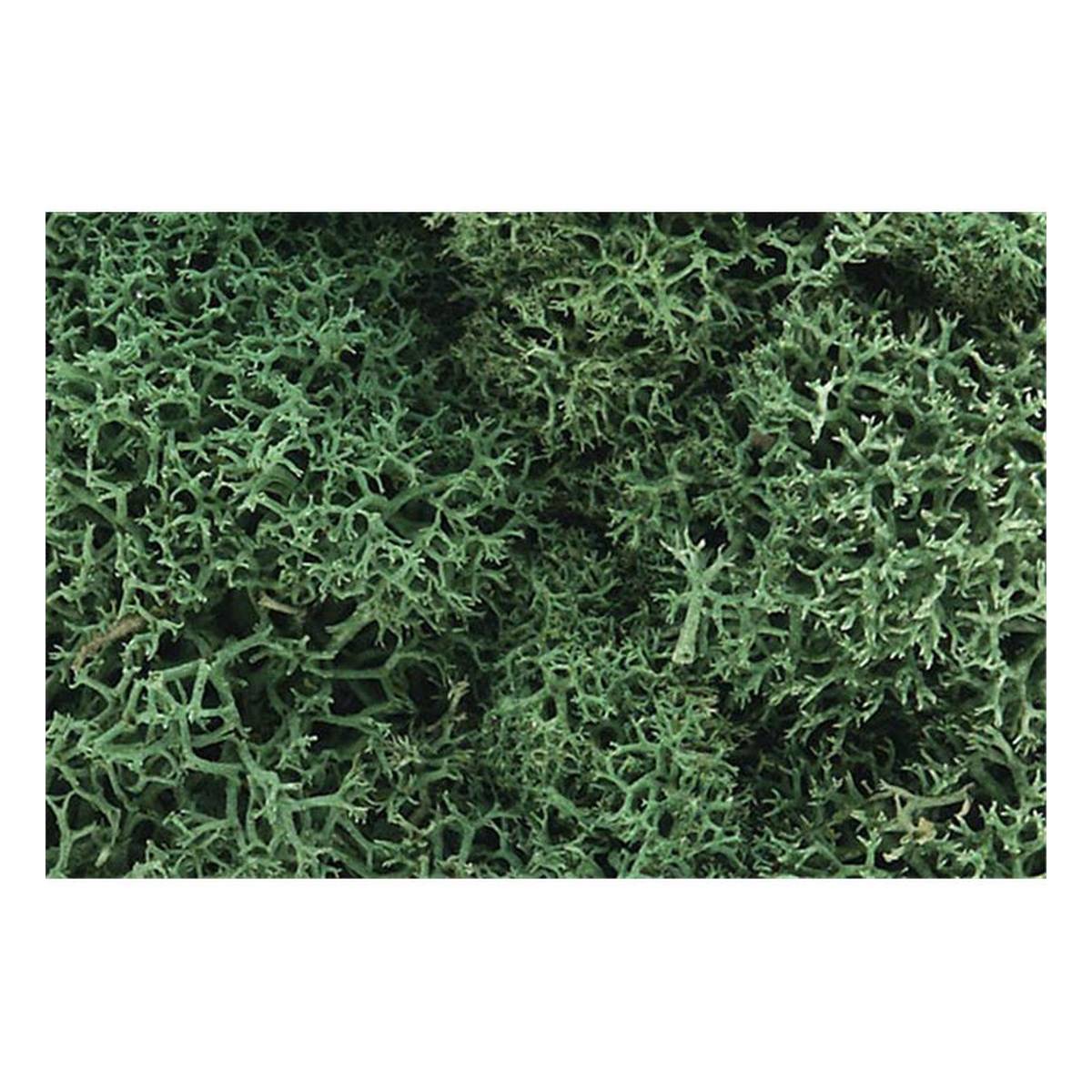 Woodland Scenics Lichen in Light Green