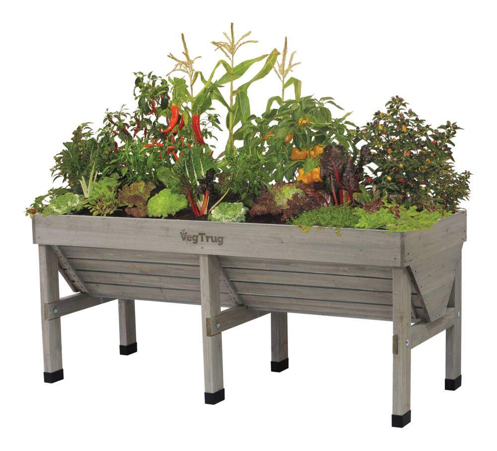 VegTrug Classic Outdoor Cedar Wood Raised Garden Bed Planter, Medium, Grey Wash