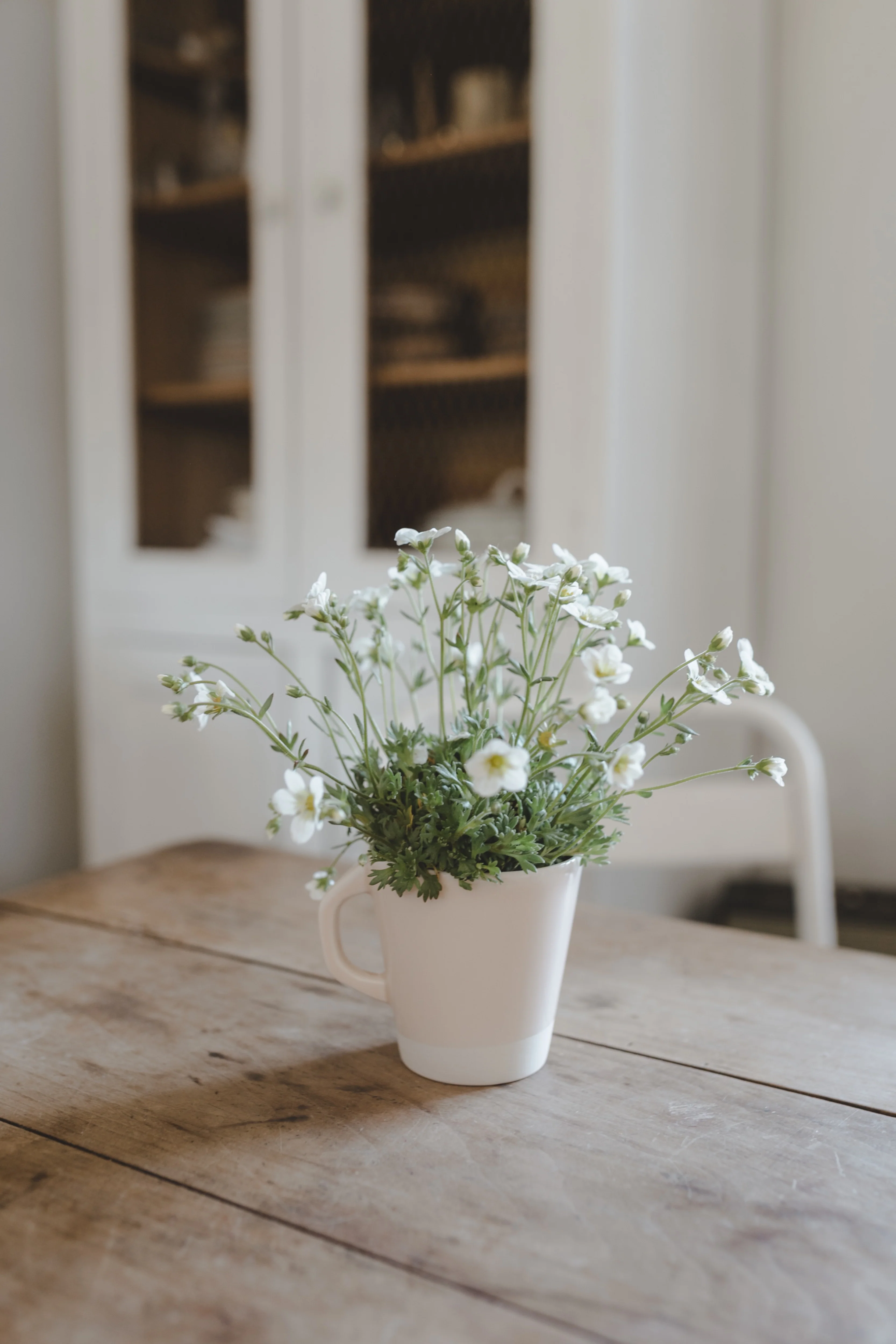 mug rose buvard