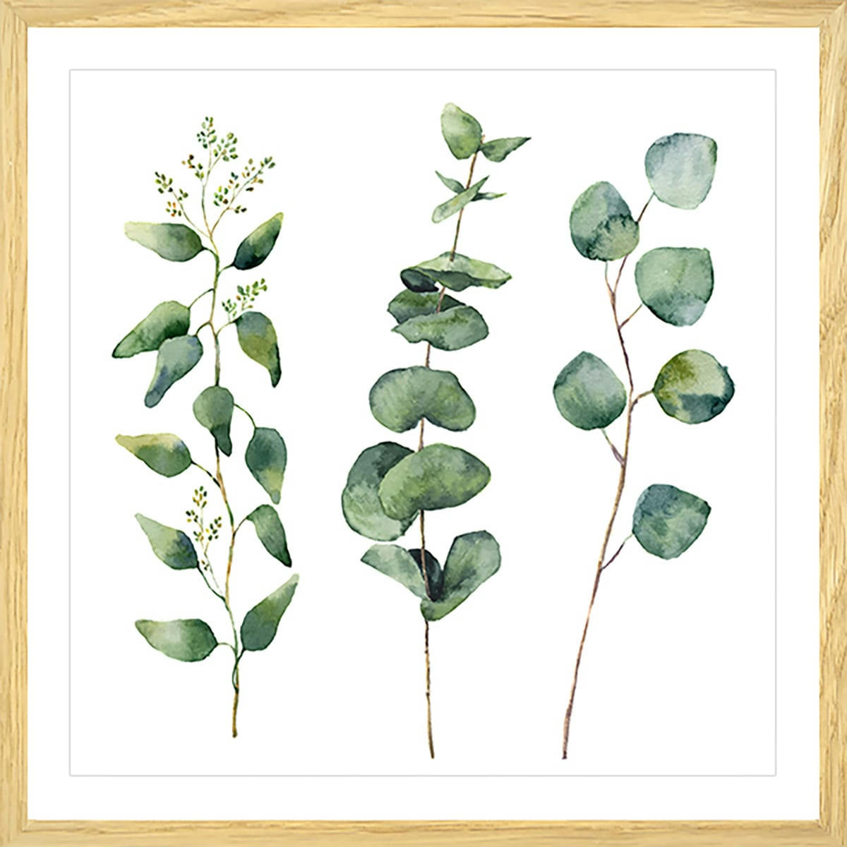 - Affiche aquarelle eucalyptus avec cadre 30x30cm