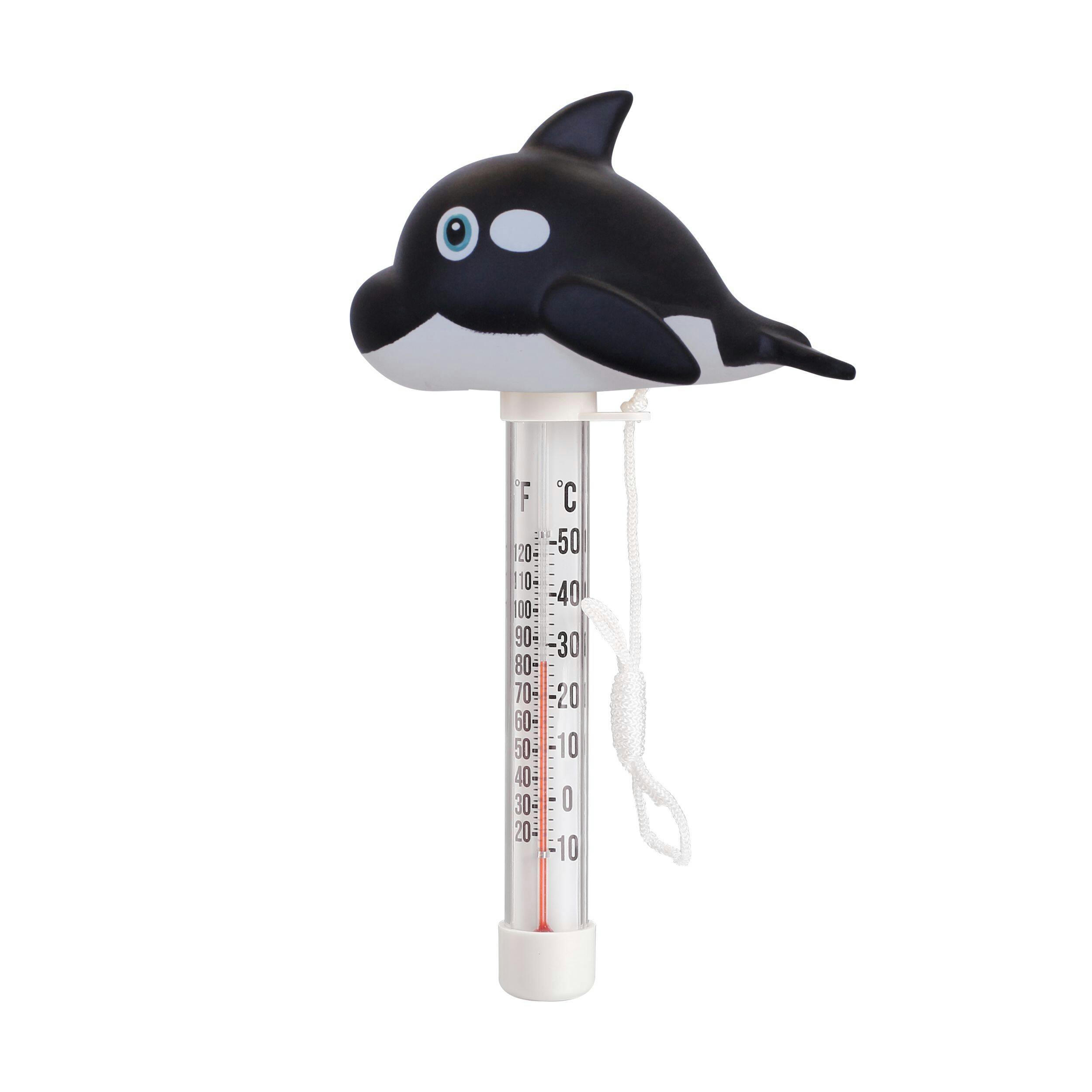 Aquarius Floating Character Pool Thermometer, Assorted