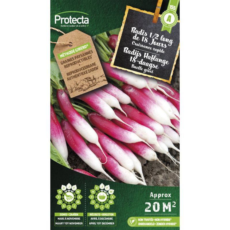 Semences de radis 1/2 long de 18 Jours PROTECTA