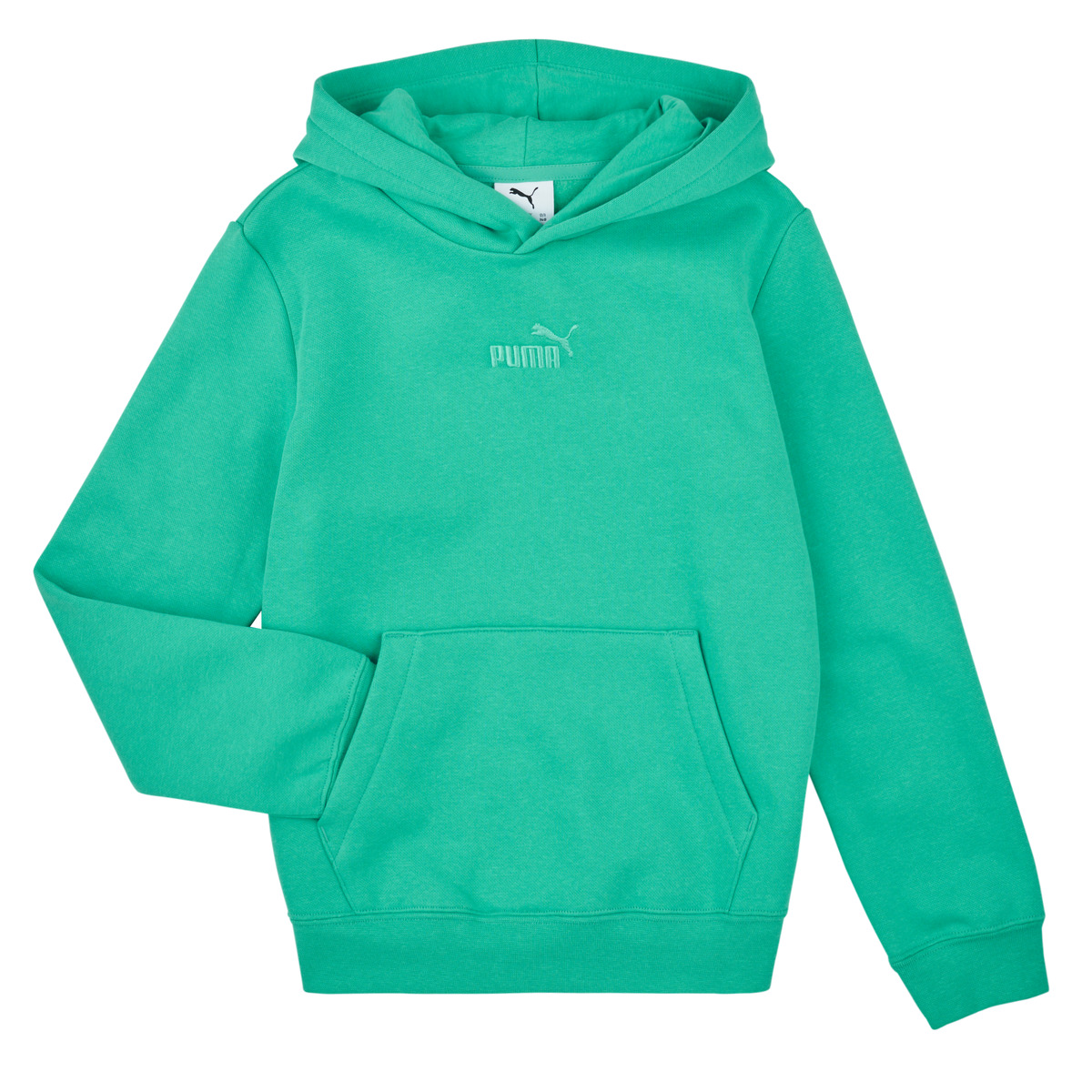 Puma - ESS Small No.1 Logo Centered Hoodie FL - Green